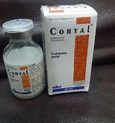 Image result for cortal�pices
