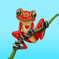Image result for Funny Smiling Frog