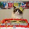 Image result for Happy Birthdaya Cat Meme