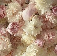 Image result for Pink Watercolor Floral Background