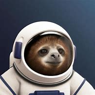 Image result for Space Sloth