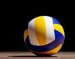 Image result for Volleyball