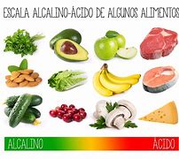 Image result for alcalaeino