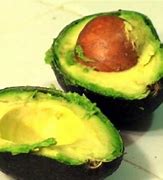 Image result for Rotten Avocado