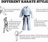 Image result for Most Dangerous Types of Karate Styles
