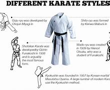 Image result for Cool Karate Forms That Will Impress People
