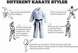 Image result for Types of Martial Arts in America