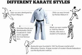 Image result for types of karate