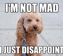 Image result for Not Mad Just Disappointed Meme