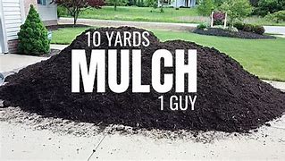 Image result for What Does 10 Yards of Dirt Look Like