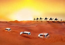 Image result for Dubai Horse Racing Sand Dunes