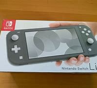Image result for Nintendo Switch Lite Grey