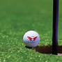 Image result for Double Eagle Golf Club Logo
