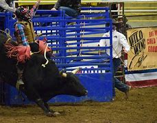 Image result for Sikeston MO Rodeo