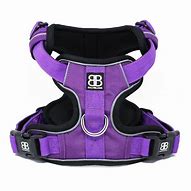 Image result for Purple Dog Harness