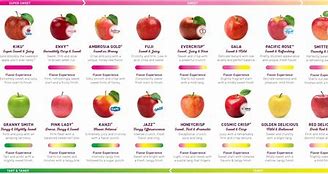 Image result for Taste Apple