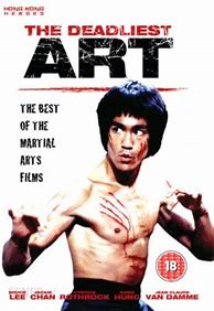 Image result for top 10 deadliest martial arts