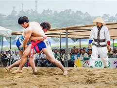 Image result for Korean Wrestlers