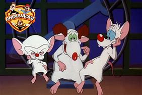 Image result for Pinky and the Brain Characters
