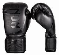 Image result for Boxing Gloves