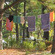 Image result for Clothes Drying Tree