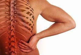 Image result for Middle Right Back Pain