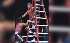 Image result for Shawn Michaels Ladder Match