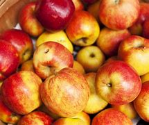 Image result for Identifying Apple's