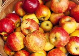 Image result for Zillatei Grimon Apple Variety
