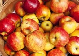 Image result for Top Apple Varieties