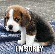 Image result for Puppy Dog Sorry