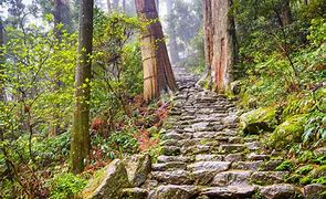 Image result for Walking Trails Japan