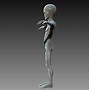 Image result for Alien Humanoid Form