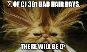 Image result for Bad Hair Day MEME Funny
