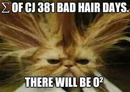 Image result for Bad Hair Day Meme