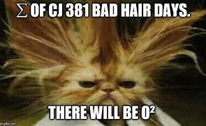 Image result for Bad Hair Day Cat Poster