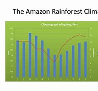 Image result for Climate in Amazon Rainforest
