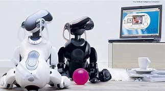 Image result for Aibo 3.1L