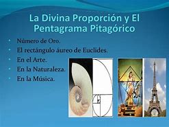 Divina Proporcion Toro Platon 的图像结果