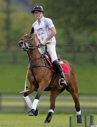 Image result for Prince William Polo