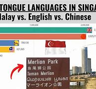Image result for Singapore Language