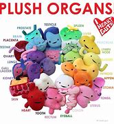 Image result for Human Organs Plushies
