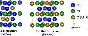 Image result for L21 Structure