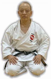Image result for Japan Karate