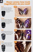 Image result for Photography Lens Chart