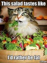 Image result for People Eating Cat Food Meme