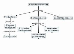 Image result for concual