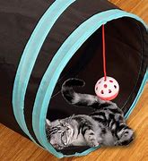 Image result for Cat Tunnel Maze