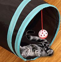 Image result for Cat Tunnel Maze