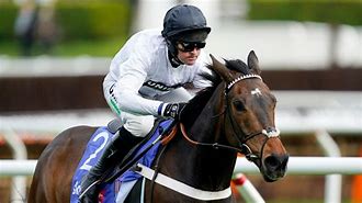 Image result for site:www.racingpost.com